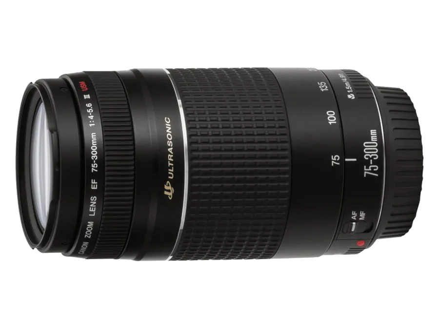 Восстановление переходных шлейфов Canon EF 75-300 f/4-5.6 III USM