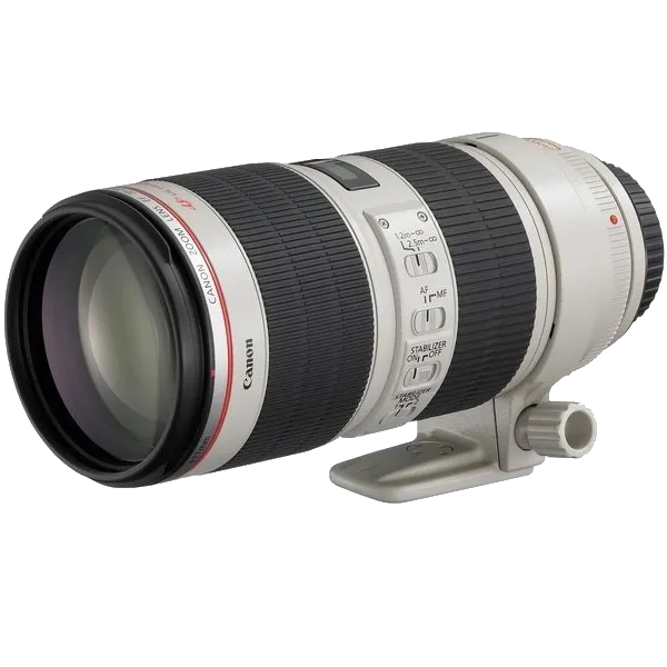 Восстановление переходных шлейфов Canon EF 70-200 f/2.8L USM